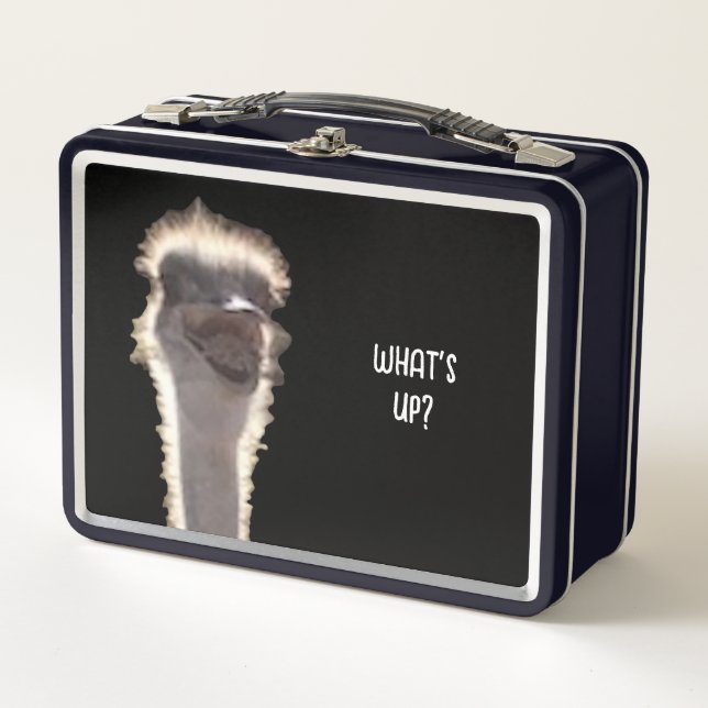 What's Up? Ostrich head, face, lunch boxes (Front)