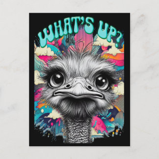 Whats Up? Postcard