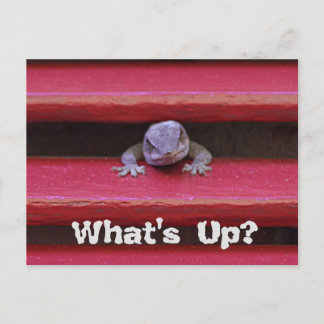 What's Up? Postcard