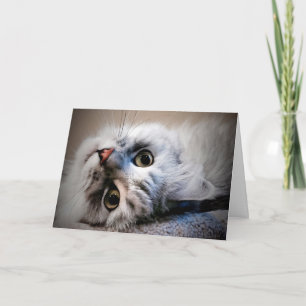 What's Up?  Thinking of You Card