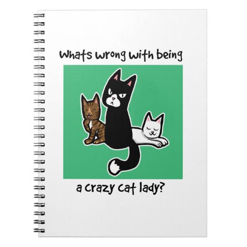 Whats wrong with being a crazy cat lady notebook