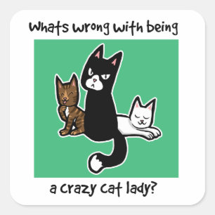 Whats wrong with being a crazy cat lady square sticker