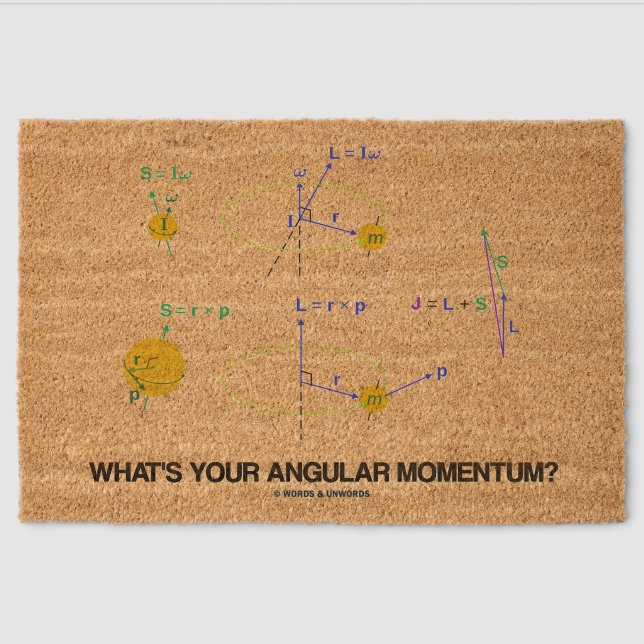 What's Your Angular Momentum? Physics Diagrams Fiber Doormat (Front)