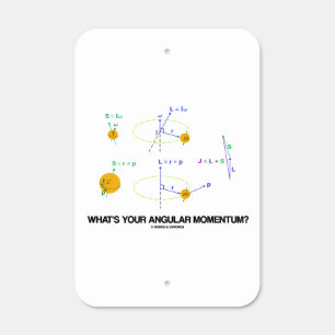 What's Your Angular Momentum? Physics Diagrams Metal Sign