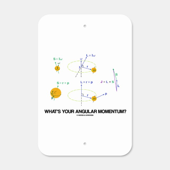What's Your Angular Momentum? Physics Diagrams Metal Sign (Front)