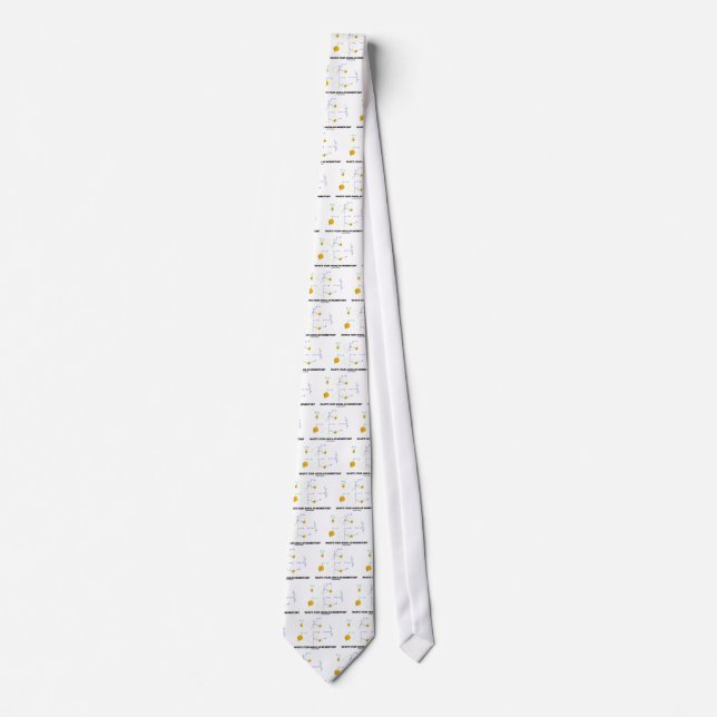 What's Your Angular Momentum? (Physics Diagrams) Neck Tie (Front)