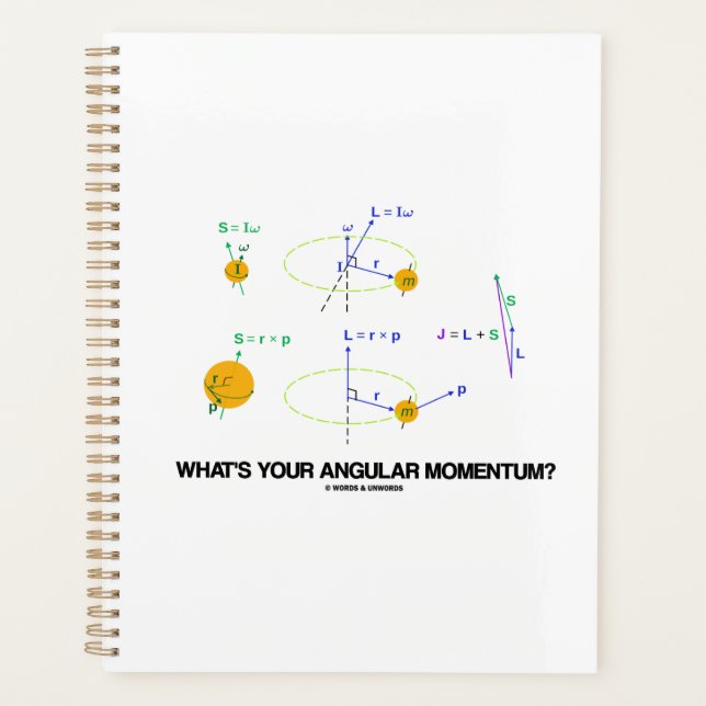 What's Your Angular Momentum? Physics Diagrams Planner (Front)