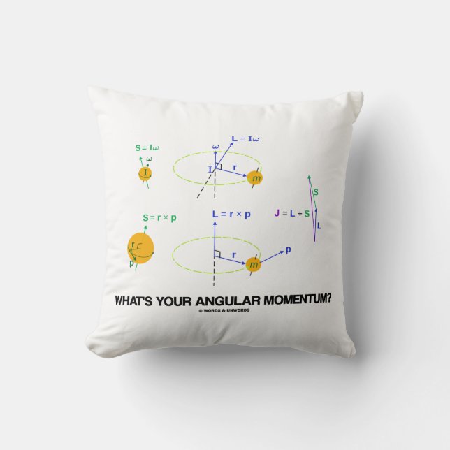 What's Your Angular Momentum? (Physics Diagrams) Throw Pillow (Front)