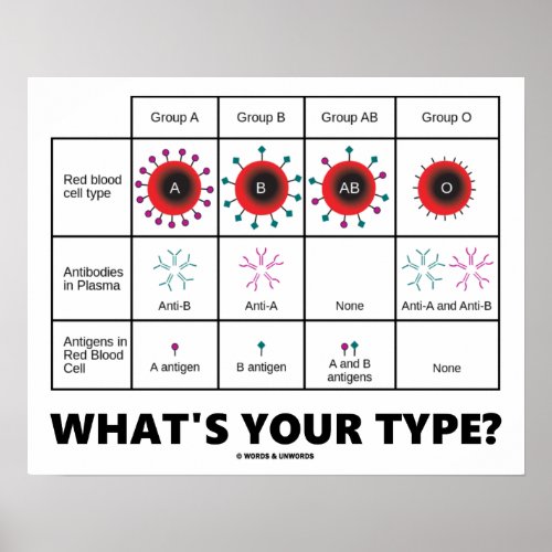 Whats Your Type Blood Cell Groups Poster