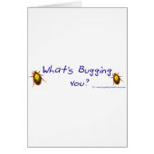 WhatsBuggingYouBumperSticker (Front)