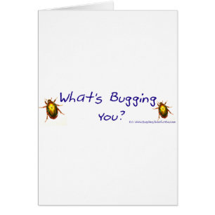 WhatsBuggingYouBumperSticker Cards