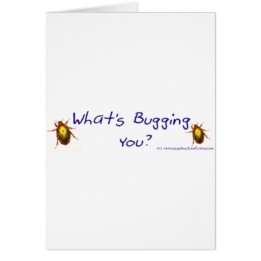 WhatsBuggingYouBumperSticker Cards (Front)