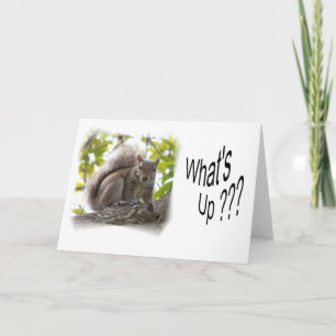 WhatsUp_notecard Card