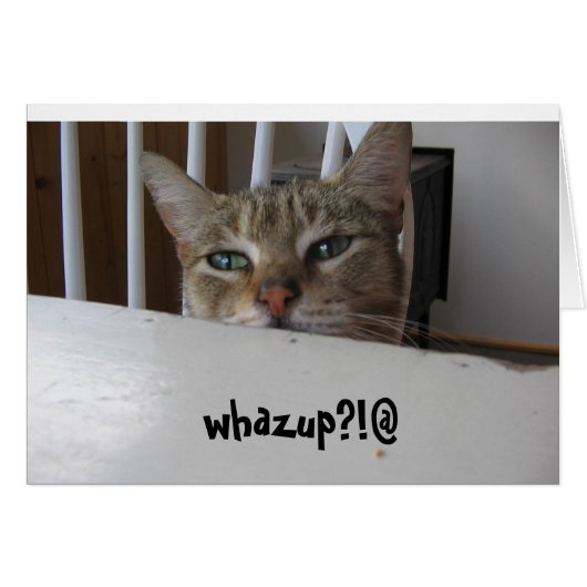 whazup puzzy cat?! cards (Front Horizontal)