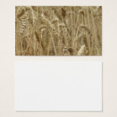 Wheat Field (Front & Back)