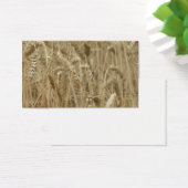 Wheat Field (Desk)