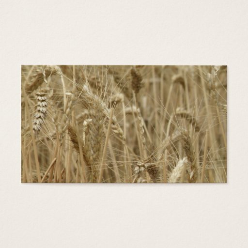 Customizable Wheat Field Business Card Templates