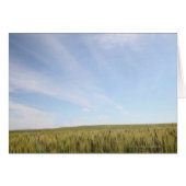 Wheat Field (Front Horizontal)