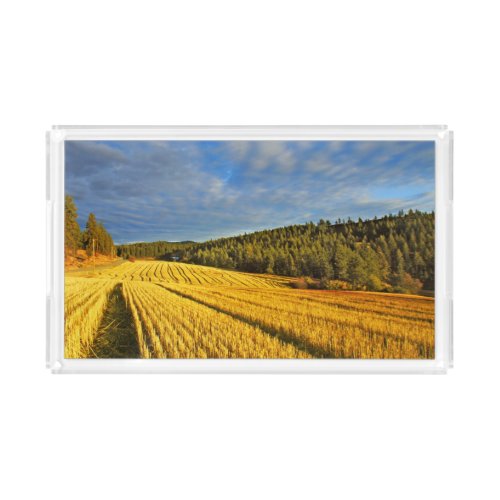 Wheat Field After Harvest Acrylic Tray