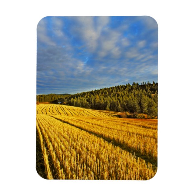 Wheat Field After Harvest Magnet (Vertical)