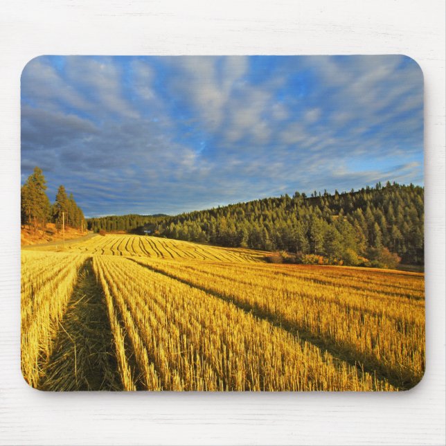 Wheat Field After Harvest Mouse Pad (Front)
