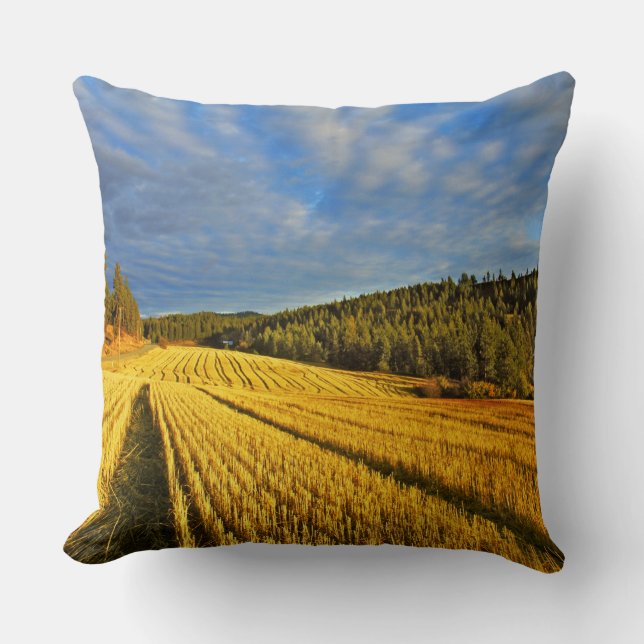 Wheat Field After Harvest Throw Pillow (Front)