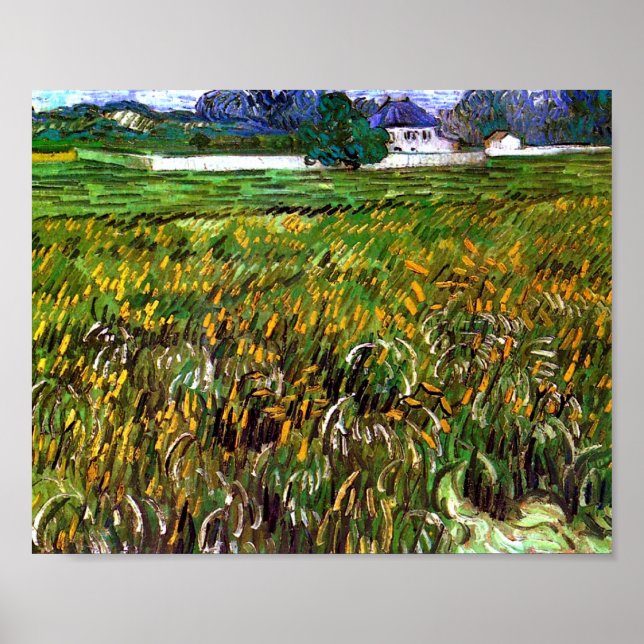 Wheat Field Auvers, White House Van Gogh Fine Art Poster (Front)