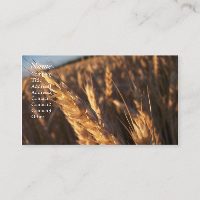 Wheat Field - Business Cards (Front)