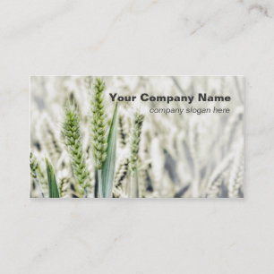 Wheat Field Custom Business Cards