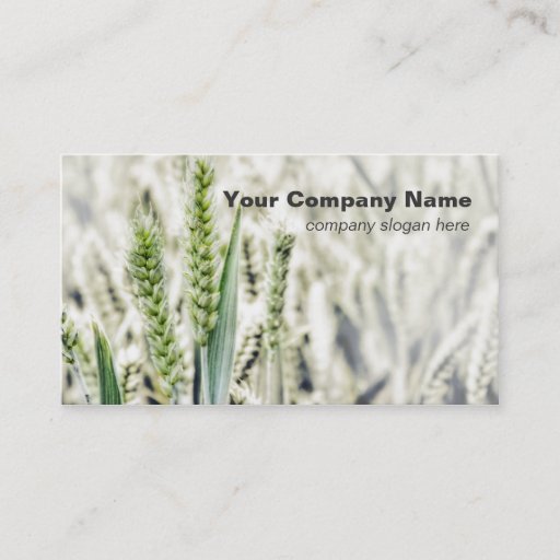Customizable Wheat Field Custom Business Cards