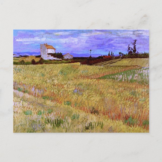 Wheat Field (F564) Van Gogh Fine Art Postcard (Front)