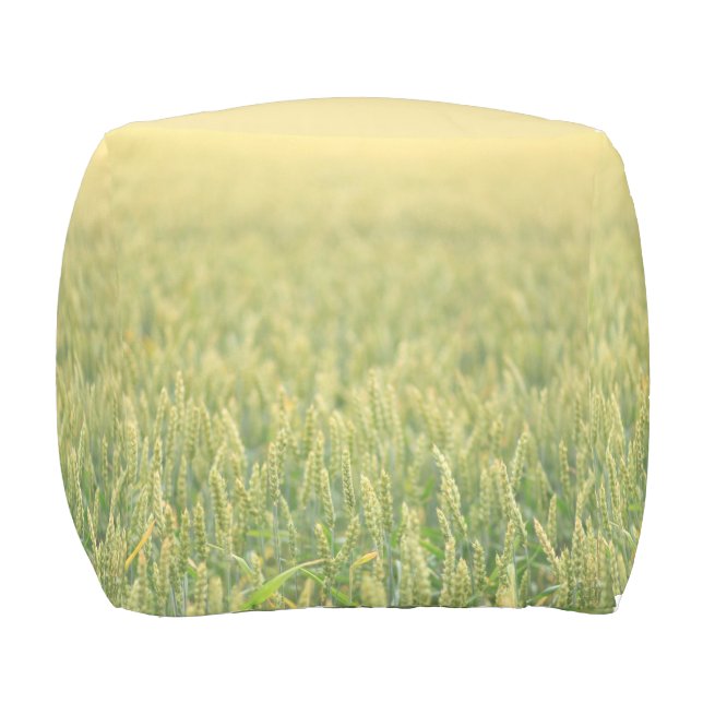 Wheat Field Grass Meadow Outdoor Pouf (Front)