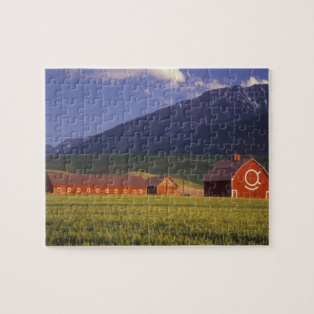 Wheat field in the Wallowa Valley, Just outside Jigsaw Puzzle (Horizontal)