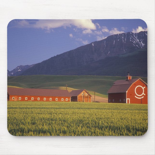 Wheat field in the Wallowa Valley, Just outside Mouse Pad (Front)