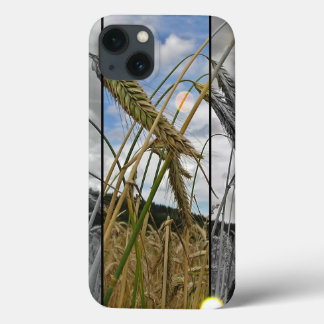 Wheat Field iPad case