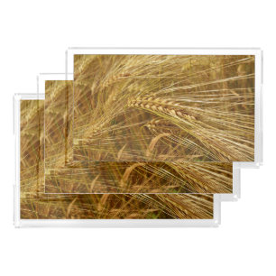  Wheat field. It’s Harvest Time!  Acrylic Tray
