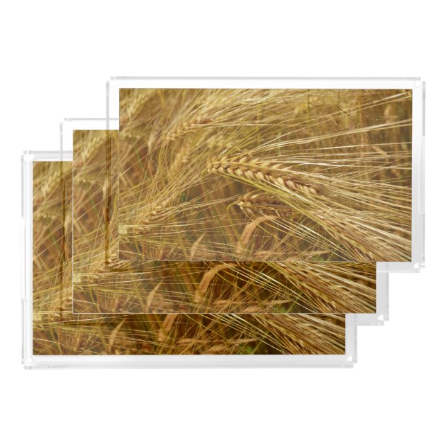  Wheat field. It’s Harvest Time!  Acrylic Tray (Set)