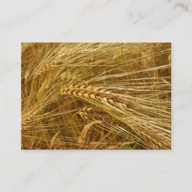  Wheat field. It’s Harvest Time!  Enclosure Card (Front)