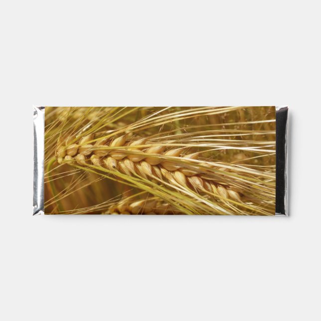  Wheat field. It’s Harvest Time!    Hershey Bar Favors (Front)