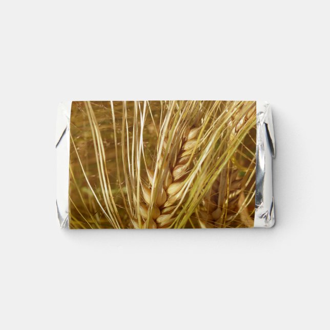  Wheat field. It’s Harvest Time!   Hershey's Miniatures (Front)