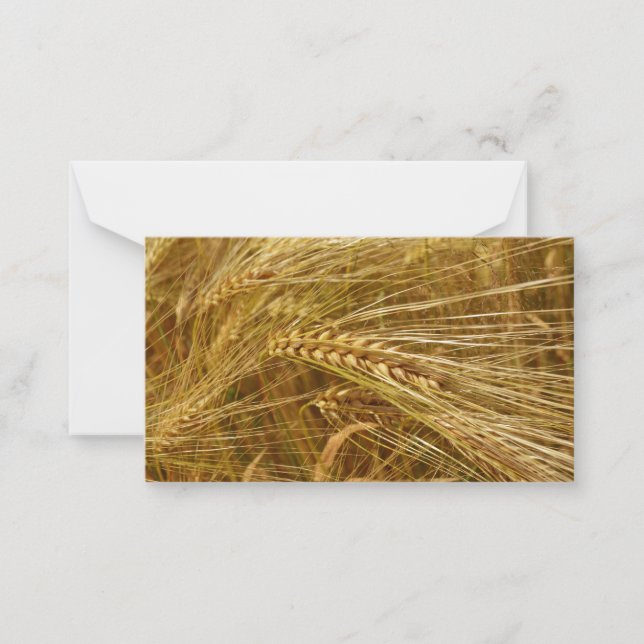  Wheat field. It’s Harvest Time!  Note Card (Front)