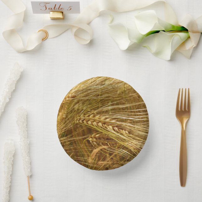  Wheat field. It’s Harvest Time!   Paper Bowls (Wedding)