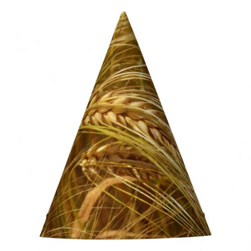  Wheat field Its Harvest Time  Party Hat