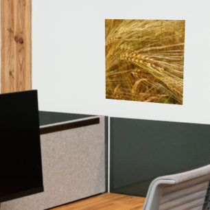 Wheat field. It’s Harvest Time! Wall Decal