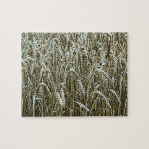 Wheat Field Jigsaw Puzzle