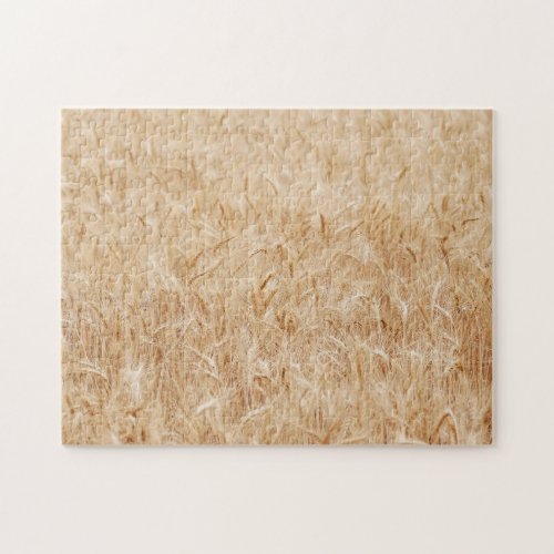 Wheat Field Jigsaw Puzzle