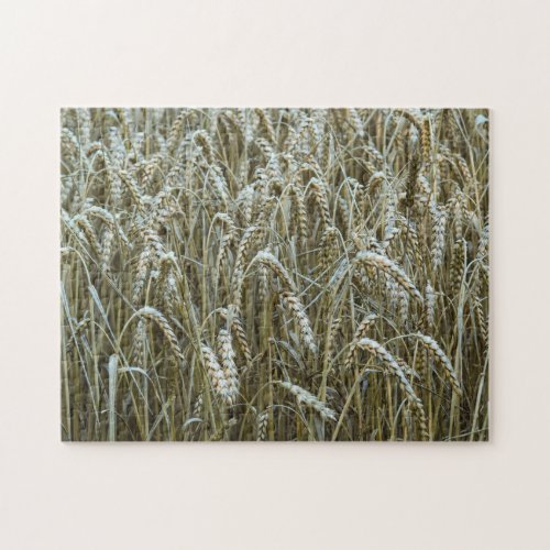 Wheat Field Jigsaw Puzzle