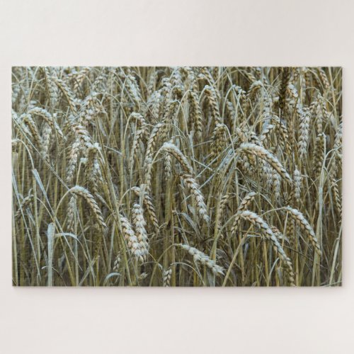 Wheat Field Jigsaw Puzzle