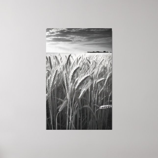 Wheat Field: Monochrome Rural Charm Canvas Print (Front)