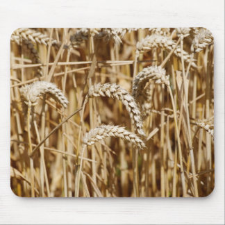 wheat field mouse pad